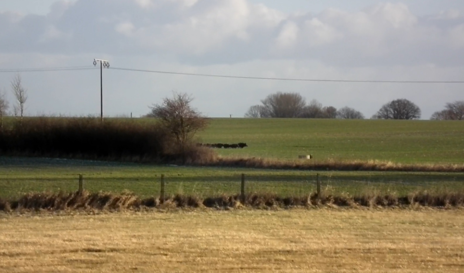 Drückjagd 2013.........