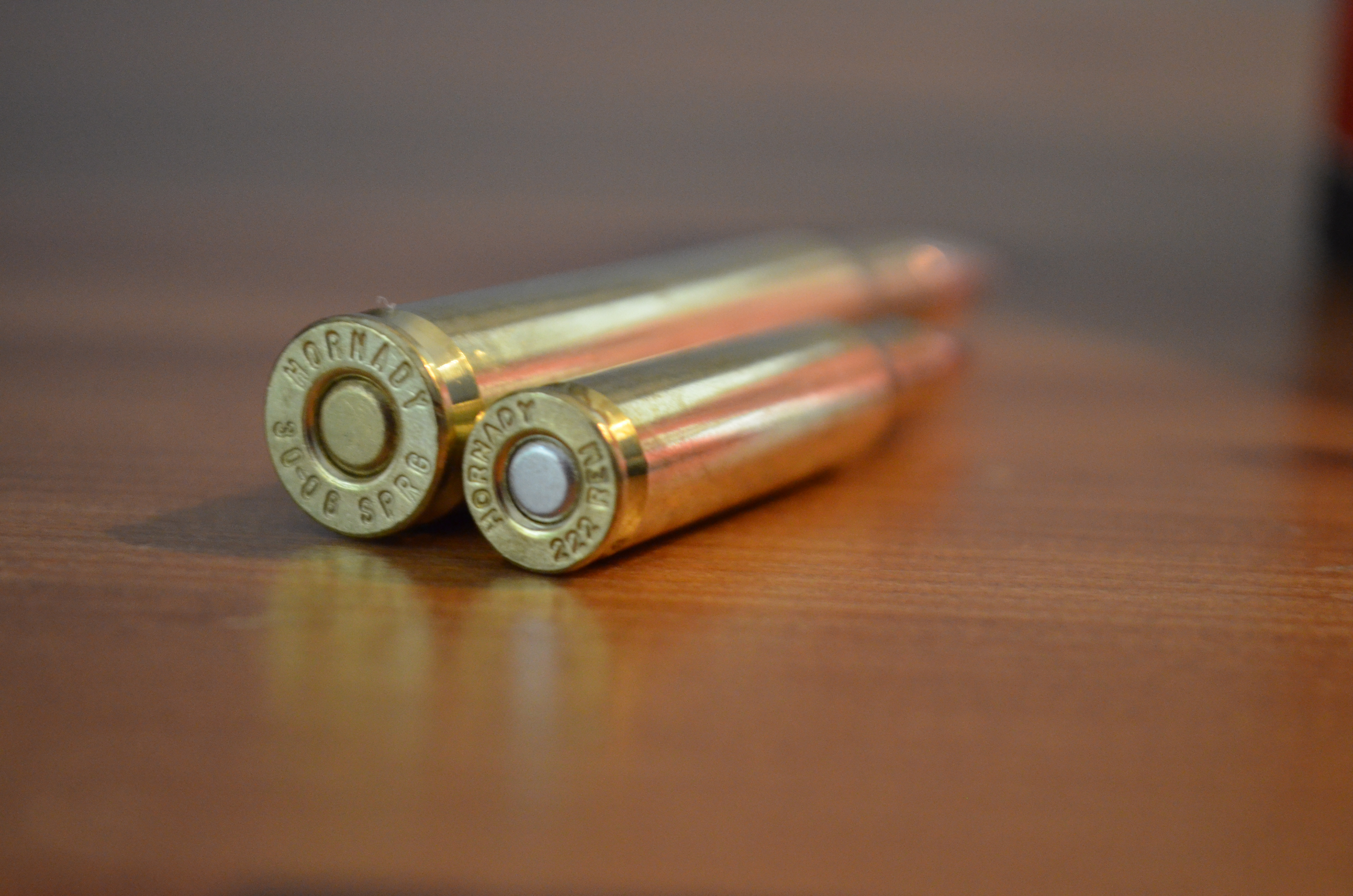 hornady_gmx_varmint_NX (10)