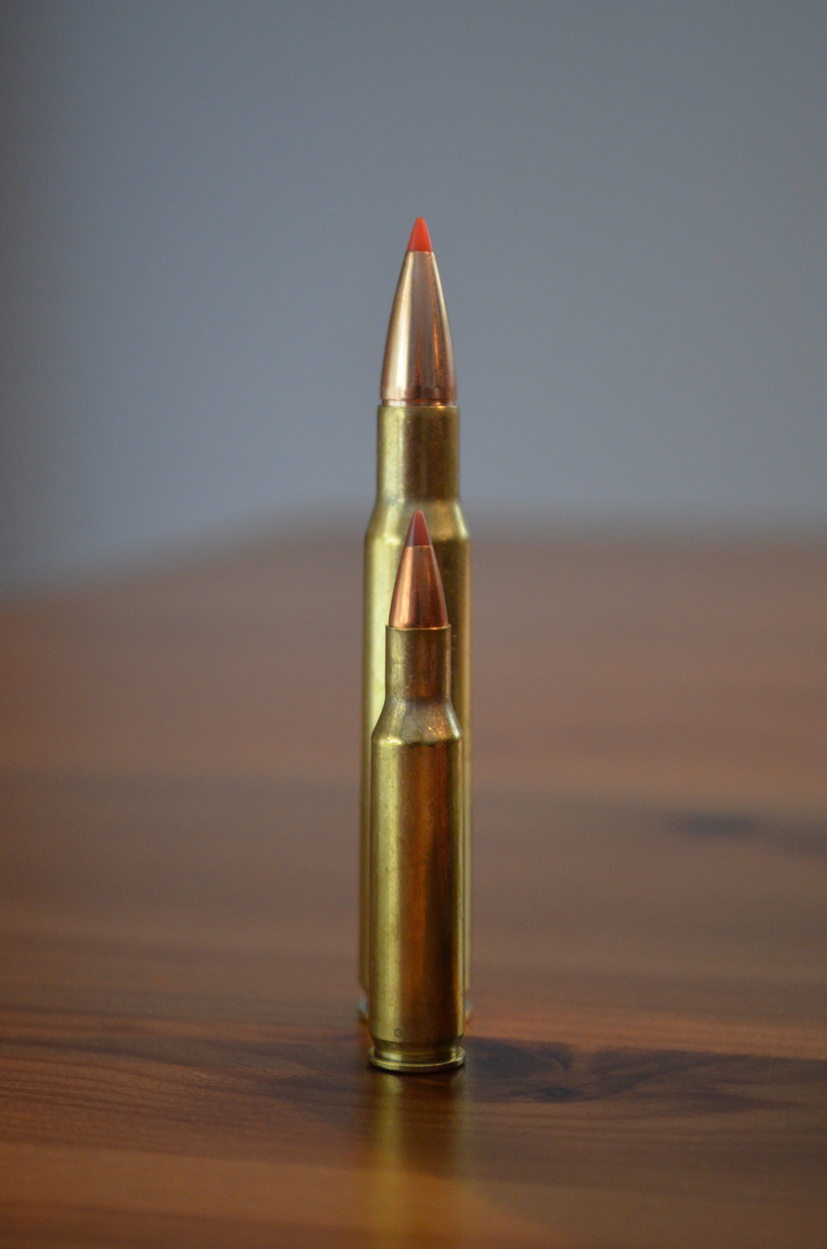 hornady_gmx_varmint_NX (6)