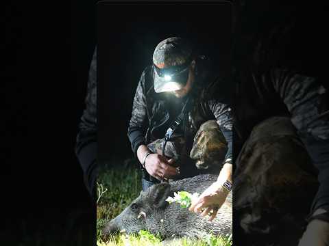 Jeder Sauenjäger fühlt es. #wildschweinjagd  #handwerk
